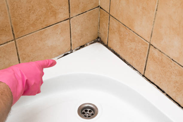Best Mold Cleaning Services  in Woodville, WI